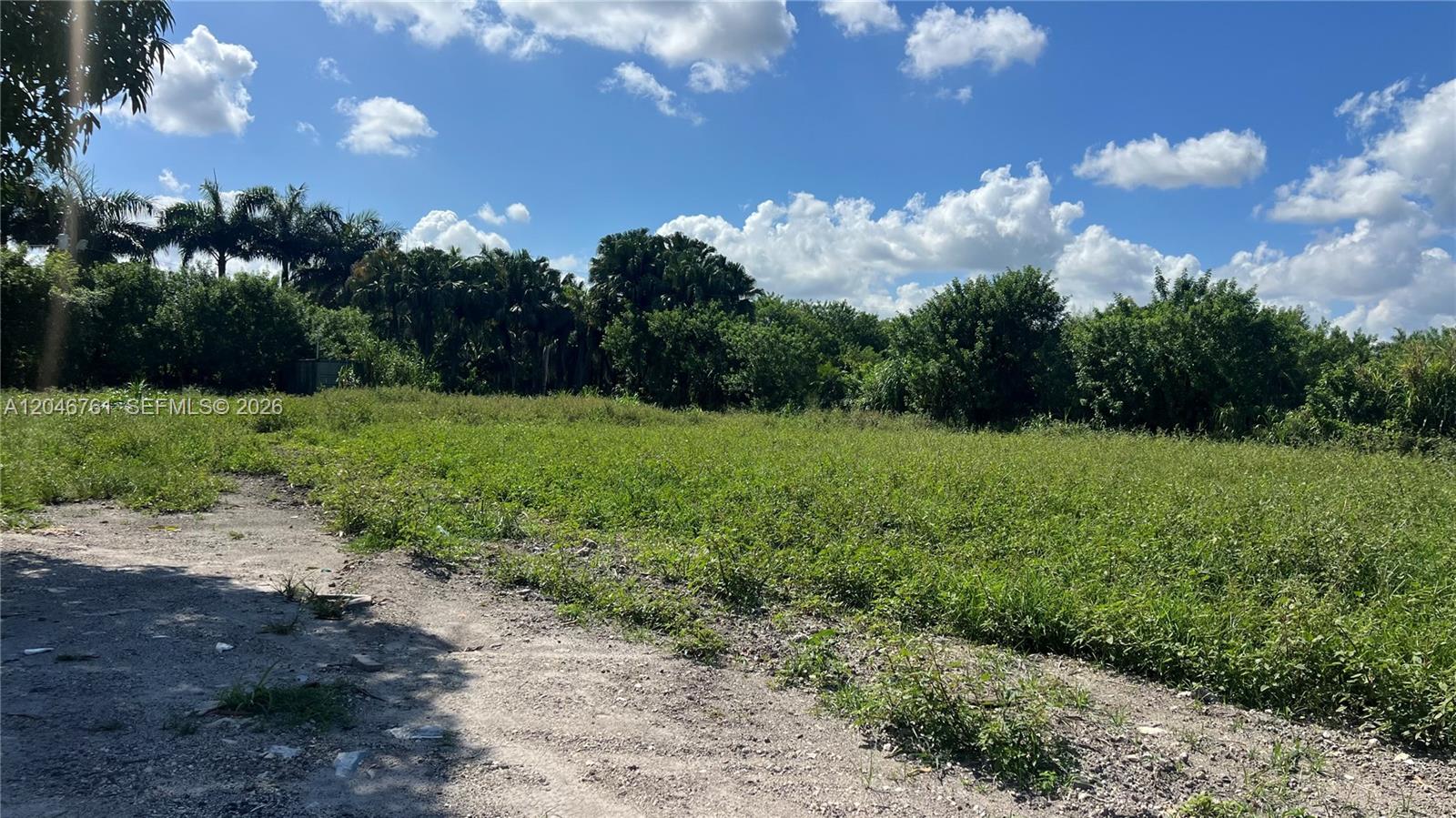 A vacant, grassy lot is bordered by trees under a blue sky with clouds — 15820 SW 209th Ave, Miami FL 33187, MIAMI, FL