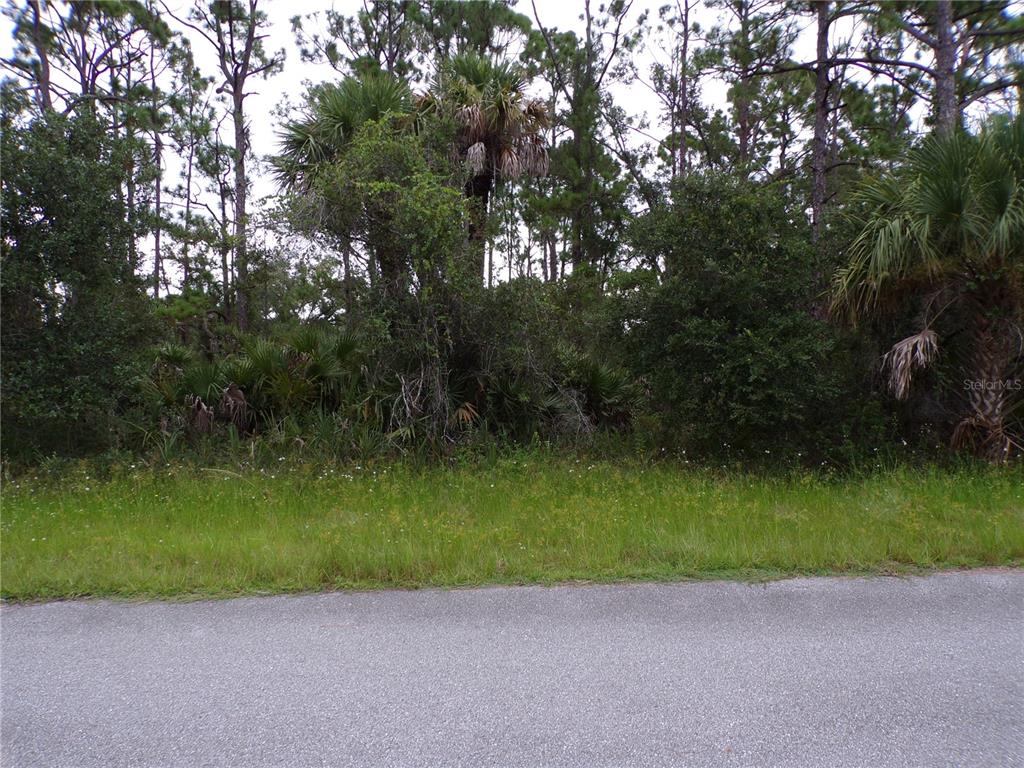 A view of a wooded, undeveloped lot from the edge of an asphalt road — 14012 CARRIE AVENUE, PORT CHARLOTTE, FL
