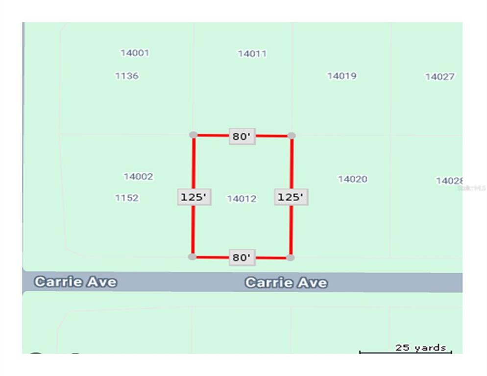 This map displays the dimensions of a rectangular land parcel located along Carrie Ave — 14012 CARRIE AVENUE, PORT CHARLOTTE, FL