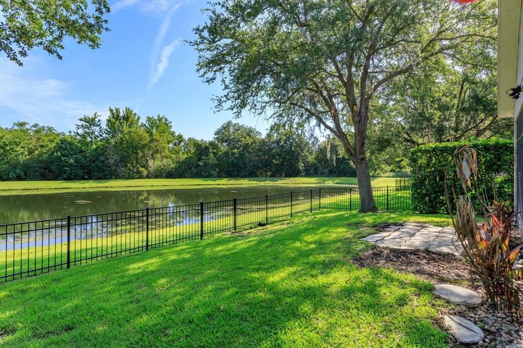 A grassy backyard features a black metal fence overlooking a pond and mature trees — 14543 WHITTRIDGE DRIVE, WINTER GARDEN, FL