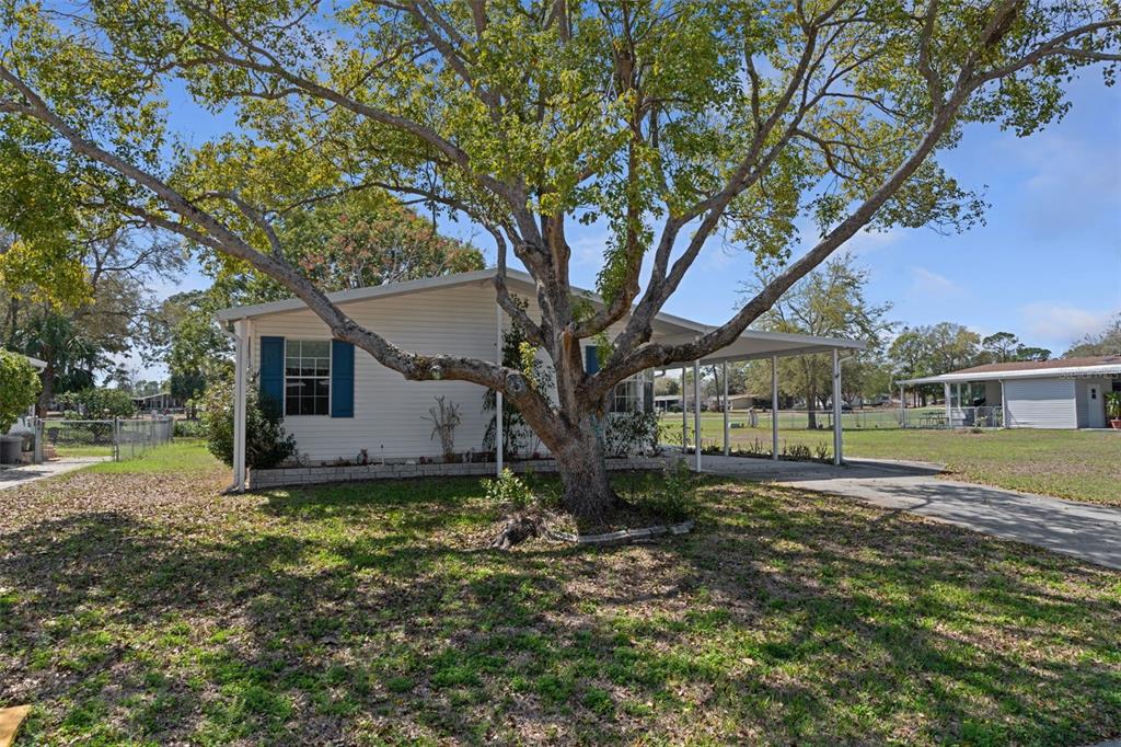A single-story house with white siding and a carport sits behind a large tree — 7482 DINSMORE STREET, BROOKSVILLE, FL