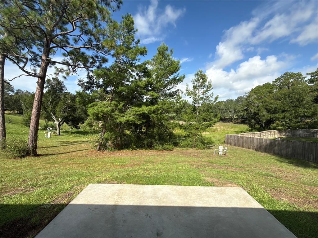 A concrete patio overlooks a grassy backyard with trees and a wooden fence — 22 MALAUKA CIRCLE, OCKLAWAHA, FL