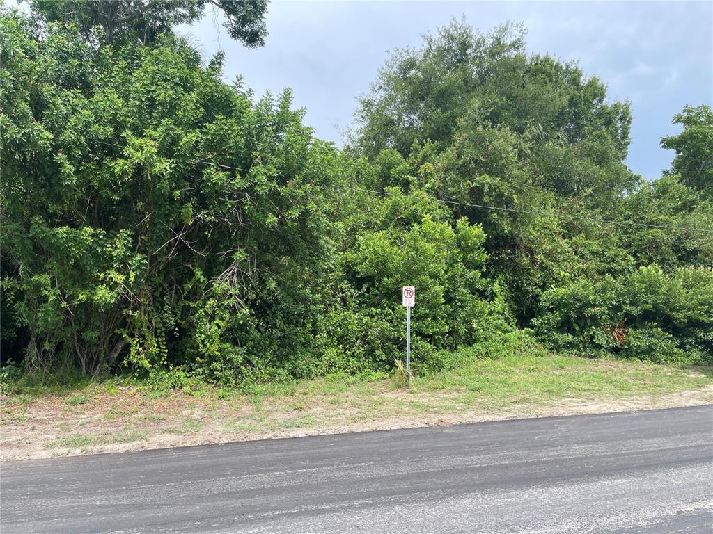 A vacant, heavily wooded lot sits behind a paved road with a parking sign — 0 SCALLOP, PORT RICHEY, FL