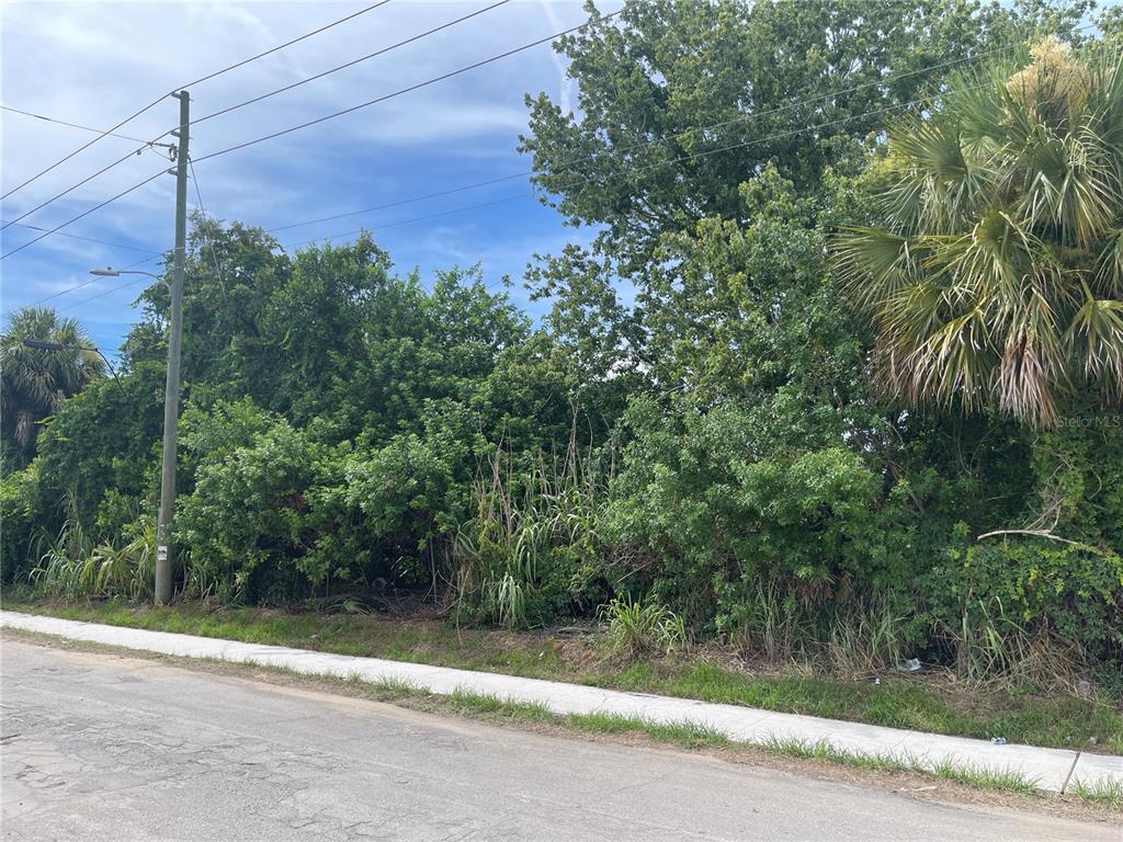 An overgrown vacant lot sits next to a paved road and sidewalk — 0 SCALLOP, PORT RICHEY, FL