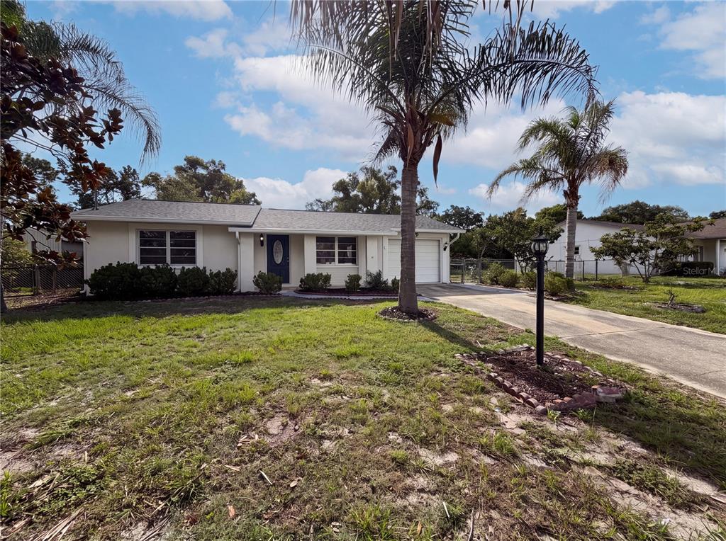 A single-story house with a light-colored exterior, a blue front door, and a palm tree — 5304 HARBINGER ROAD, SPRING HILL, FL