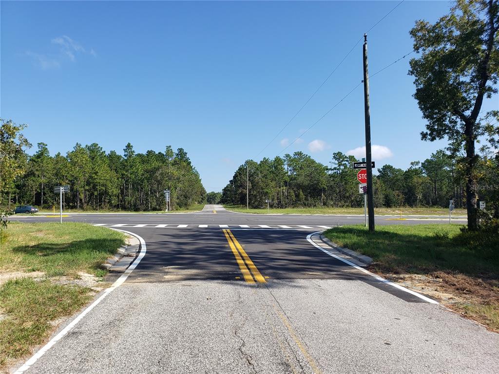 A paved road leads to a T-intersection with a stop sign and surrounding pine trees — TBD STATE ROAD 20, HAWTHORNE, FL
