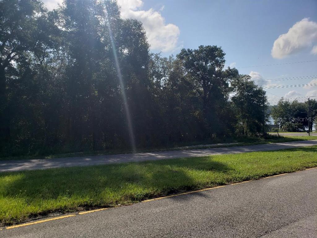 A view of a wooded lot bordered by a paved road under a sunny sky — TBD STATE ROAD 20, HAWTHORNE, FL