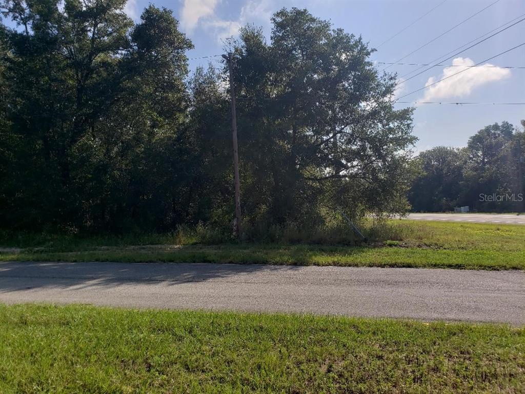 A view of a wooded, undeveloped lot next to a paved road and power lines — TBD STATE ROAD 20, HAWTHORNE, FL