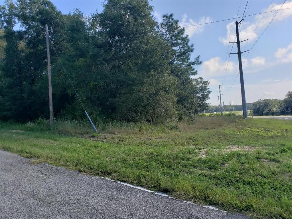 A grassy, undeveloped lot features a dense cluster of trees and two utility poles — TBD STATE ROAD 20, HAWTHORNE, FL