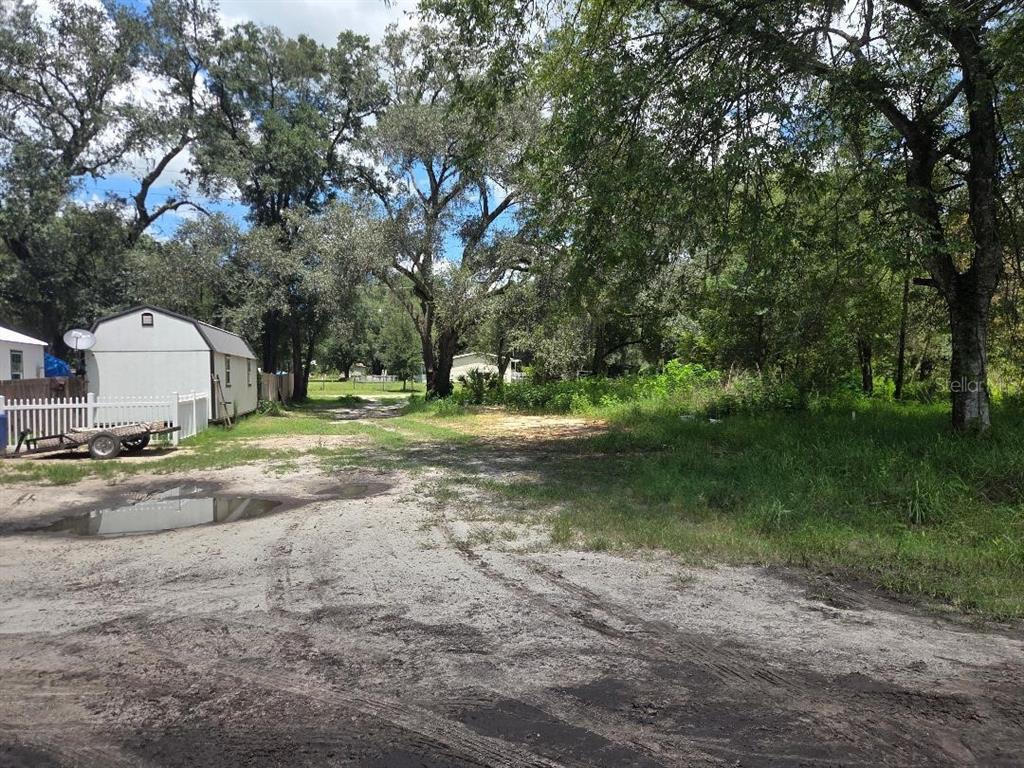 A dirt driveway leads toward a small shed and trees on a grassy lot — 39249 LIZABETH CIRCLE, ZEPHYRHILLS, FL