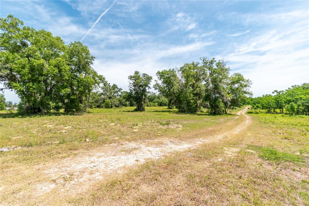 A dirt path winds through a grassy field toward a cluster of trees — 0 ROLLING ACRES ROAD, LADY LAKE, FL