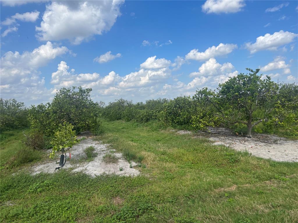 NE HWY 70, ARCADIA, FL — photo 2 of 3