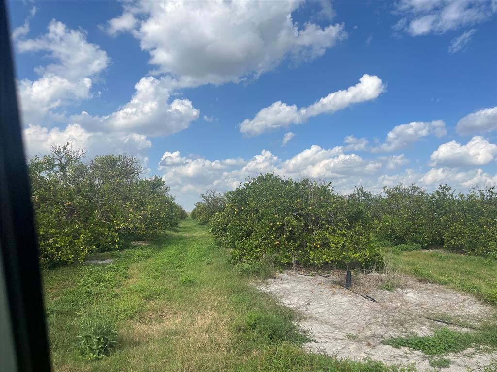 NE HWY 70, ARCADIA, FL — photo 3 of 3