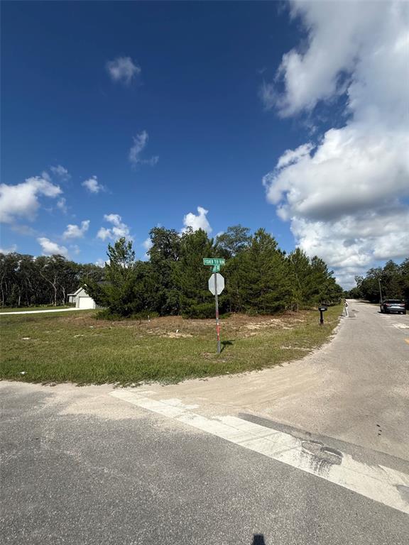 A street corner with a stop sign and street name sign in front of wooded land — 0 FISHER TER RUN, OCKLAWAHA, FL