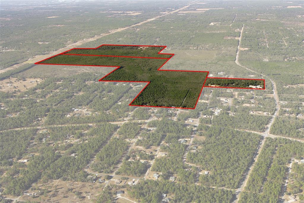 An aerial view shows a large, irregularly shaped plot of land outlined in red — 5030 W DUNKLIN STREET, CITRUS SPRINGS, FL