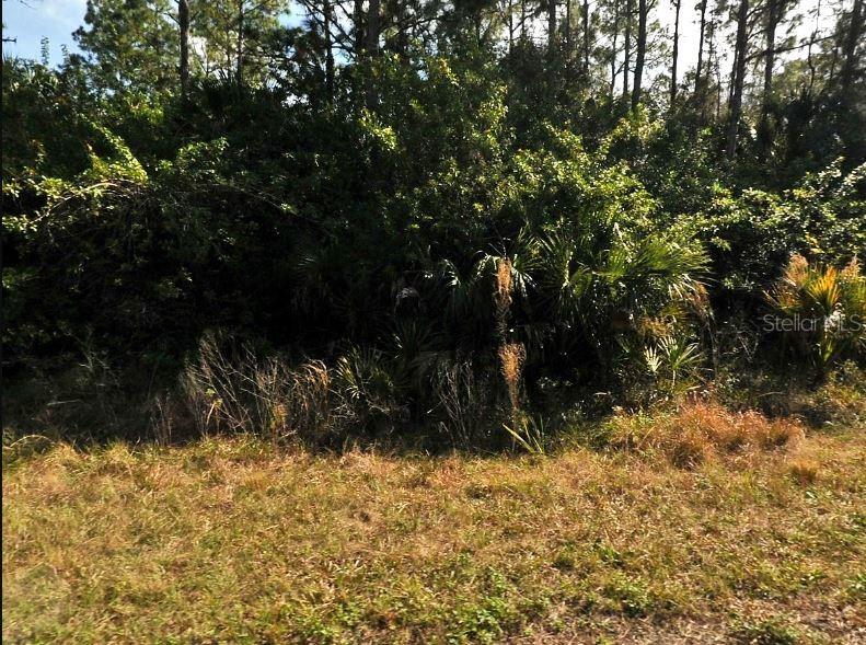 A view of a densely wooded lot with tall trees and thick underbrush — EARLYDAWN ROAD, NORTH PORT, FL