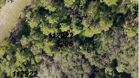 This is an aerial map showing the property boundaries and dimensions of a wooded lot — EARLYDAWN ROAD, NORTH PORT, FL
