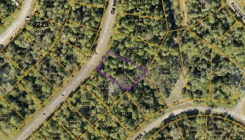 This is an aerial map showing a highlighted vacant lot surrounded by wooded residential parcels — EARLYDAWN ROAD, NORTH PORT, FL