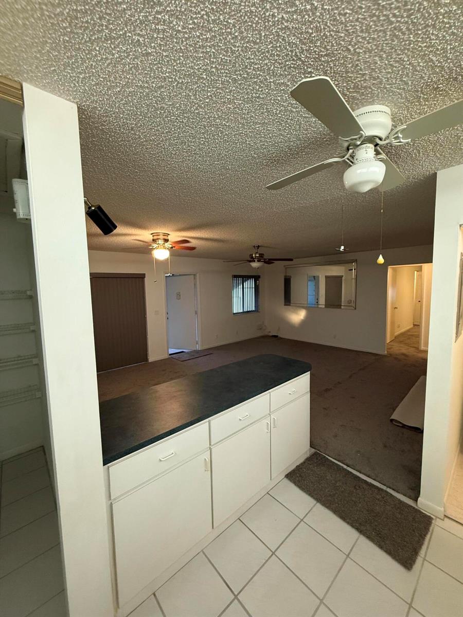 A kitchen counter overlooks a living area with carpeted floors and multiple ceiling fans — 5795 La Pinata Boulevard # 2, FL 33463, FL