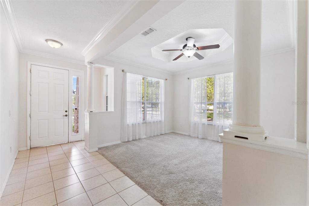 A bright living room features a tray ceiling, carpeted flooring, and white columns — 5007 RIVER GEM AVENUE, WINDERMERE, FL