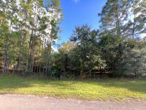 A vacant, wooded lot with tall pine trees and dense vegetation viewed from the street — 405 Pandora Drive, FL 33855, FL