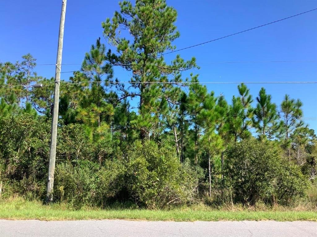 00000 SHELDON STREET, ORLANDO, FL — photo 2 of 7