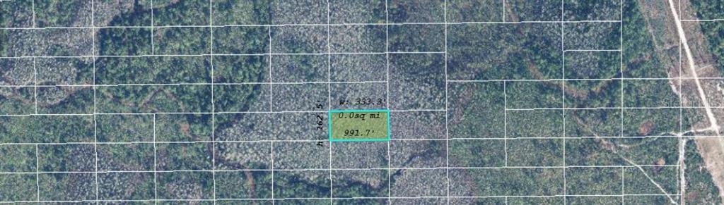 This is a map showing a rectangular plot of land highlighted in a wooded area — DILL ROAD, ORLANDO, FL