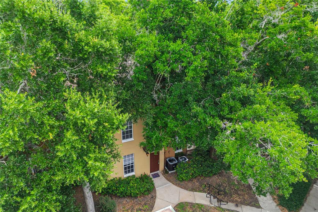 An aerial view of a tan two-story building partially obscured by large, leafy green trees — 6324 RALEIGH STREET UNIT 702, ORLANDO, FL