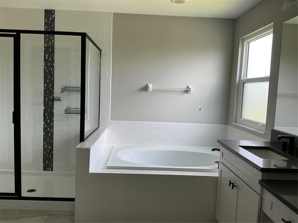 A bathroom features a white soaking tub, a glass-enclosed shower, and a vanity with cabinets — 19457 REDWOOD POINT DRIVE, TAMPA, FL