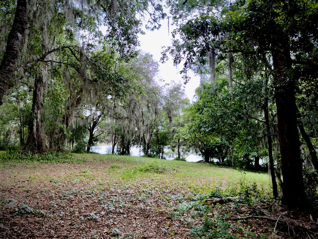 A grassy clearing leads to a lake surrounded by trees draped in Spanish moss — 00 SE 146TH TERRACE ROAD, OCKLAWAHA, FL