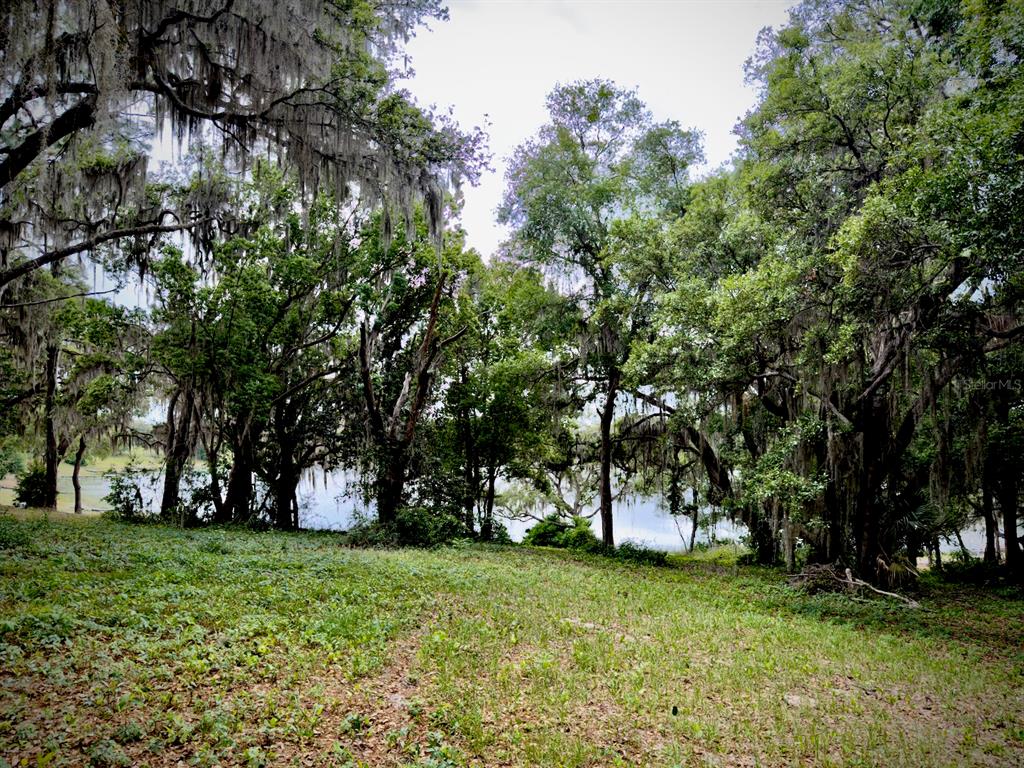 A grassy, wooded lot slopes down toward a lake under a cloudy sky — 00 SE 146TH TERRACE ROAD, OCKLAWAHA, FL