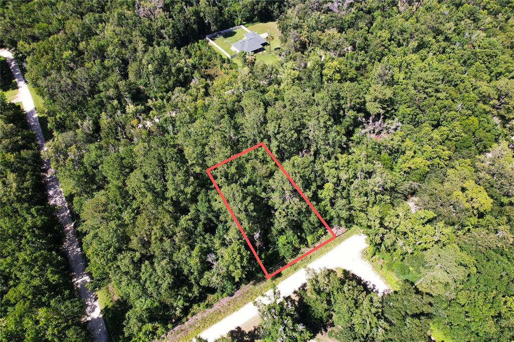 An aerial view shows a rectangular plot of land outlined in red amidst dense forest — SW 13TH PLACE, OCALA, FL
