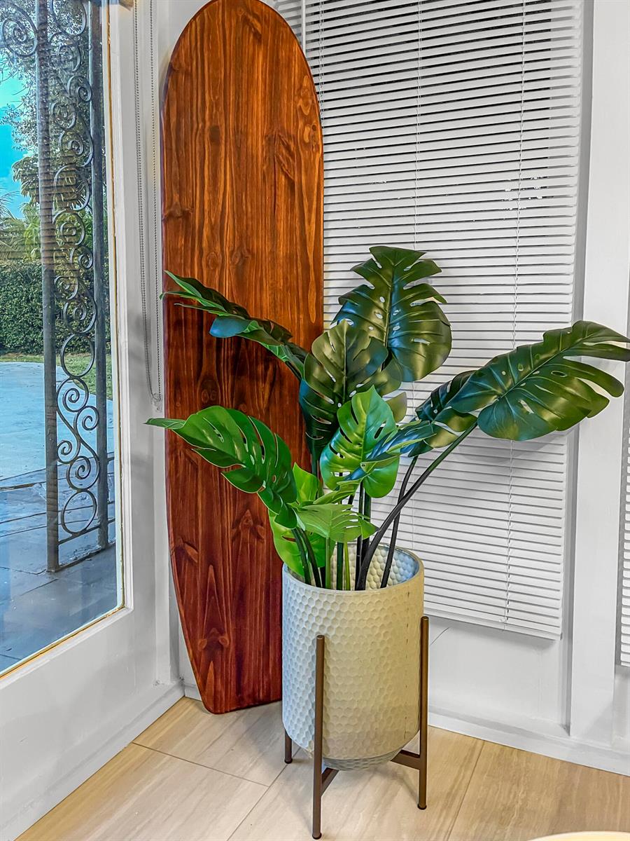 A potted monstera plant stands next to a wooden surfboard in a sunlit room — 1114 N M Street, FL 33460, FL
