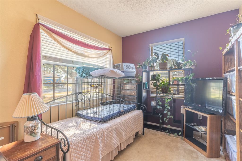 A bedroom features a bed with a metal cage on top, a television, and plants — 4317 DINNER LAKE DRIVE, LAKE WALES, FL
