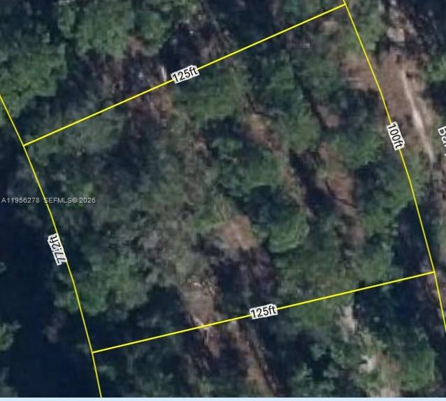 An aerial view of a rectangular plot of land with property dimensions marked in yellow — 6203 BANYAN RD, Sebring FL 33875, SEBRING, FL