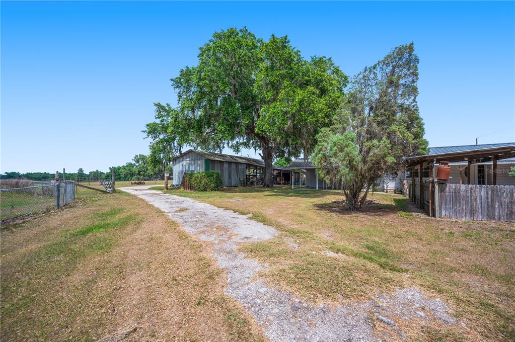 A gravel driveway leads toward a metal-sided barn and a house under large trees — 1616 MCGEE ROAD, PLANT CITY, FL