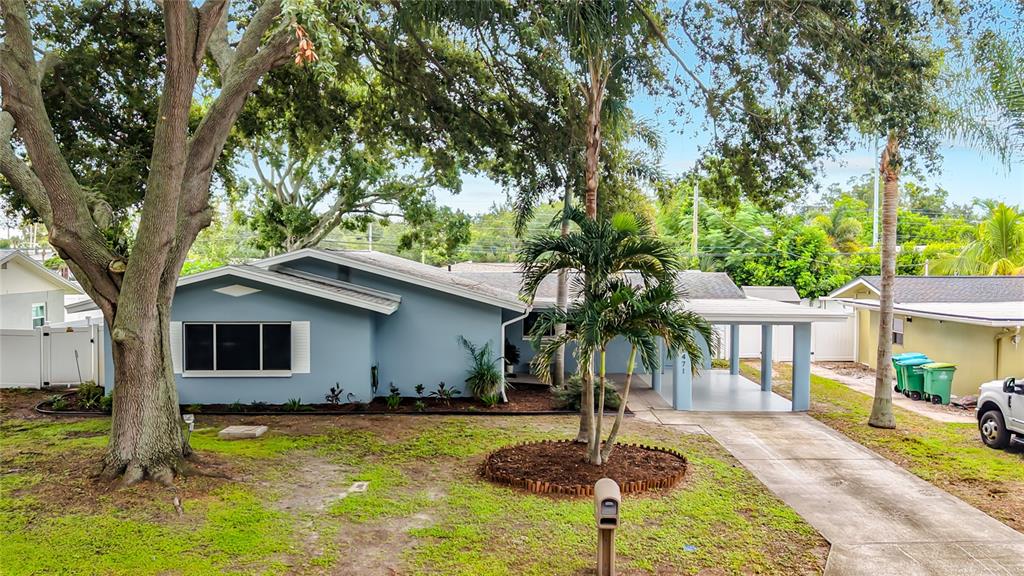 A blue single-story house with a carport, a concrete driveway, and large trees in front — 2471 RAYMONT DRIVE, CLEARWATER, FL
