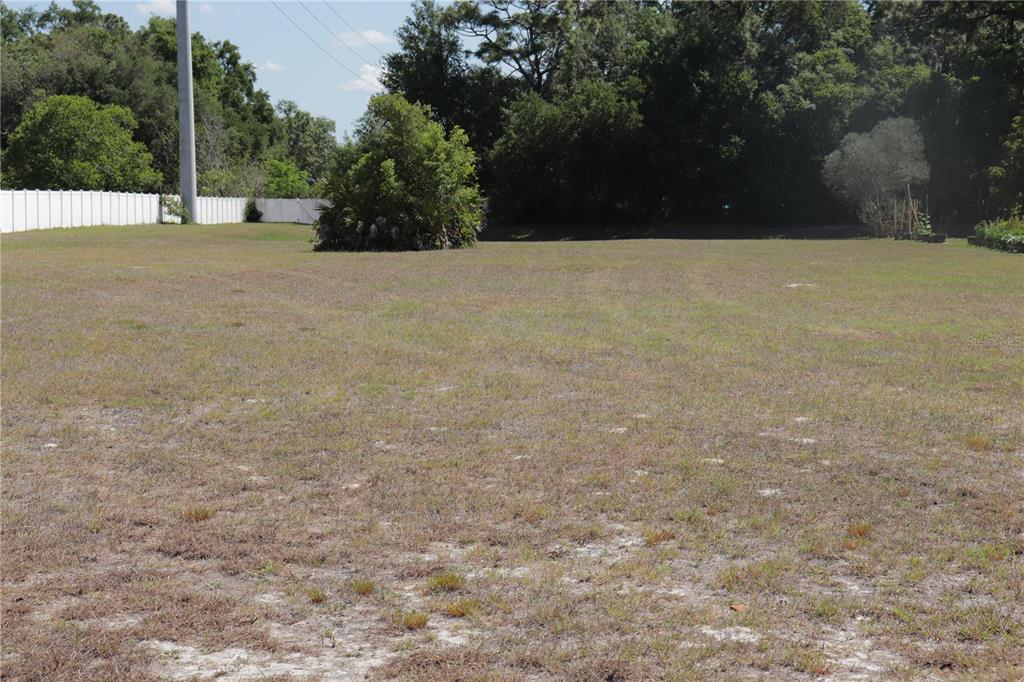 A large, flat, grassy vacant lot is bordered by a white fence and dense trees — 11470 MAYA COURT, NEW PORT RICHEY, FL