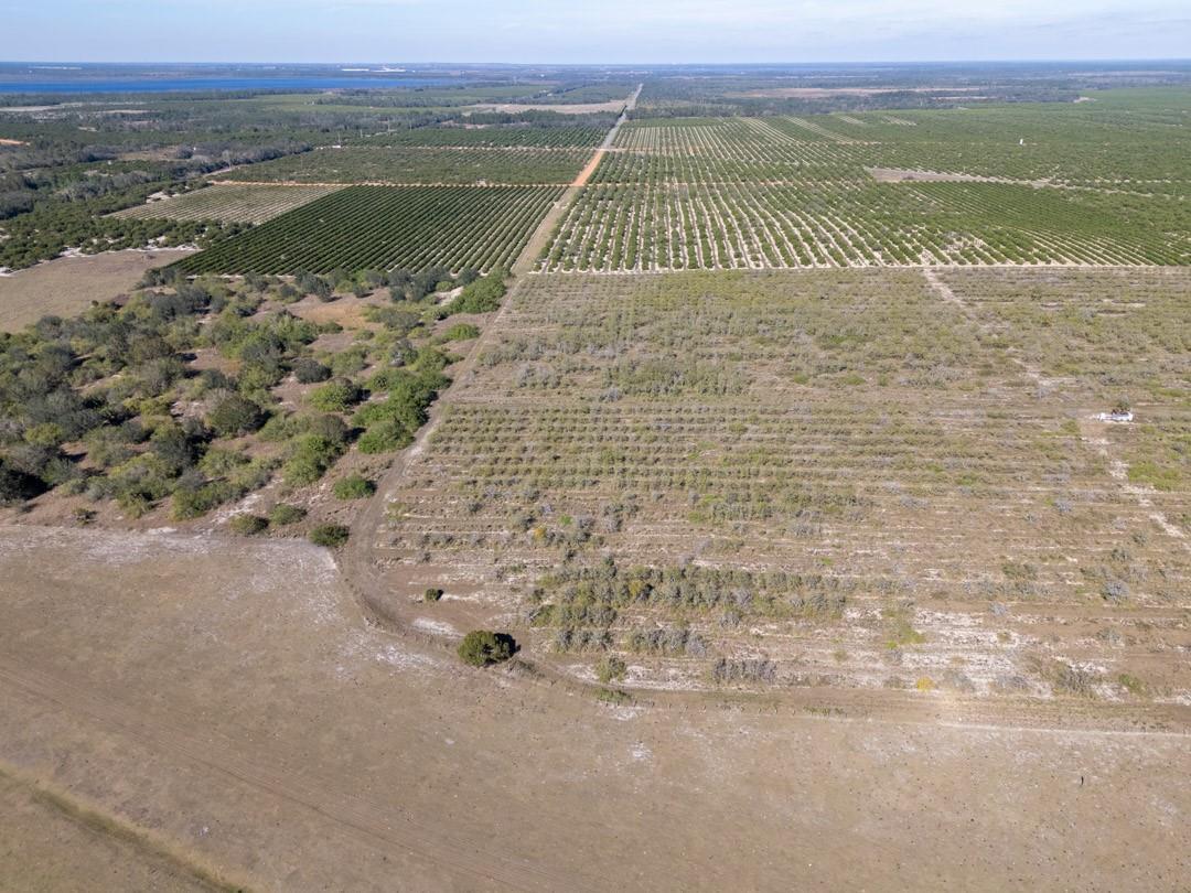 An aerial view shows a large agricultural property with citrus groves, open fields, and trees — 3073 CR 627, FL 33825, FL