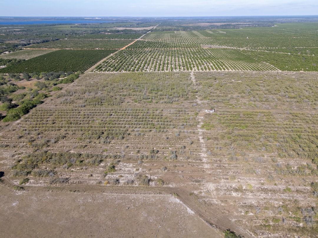 An aerial view shows a large agricultural property with citrus groves and cleared, undeveloped land — 3073 CR 627, FL 33825, FL