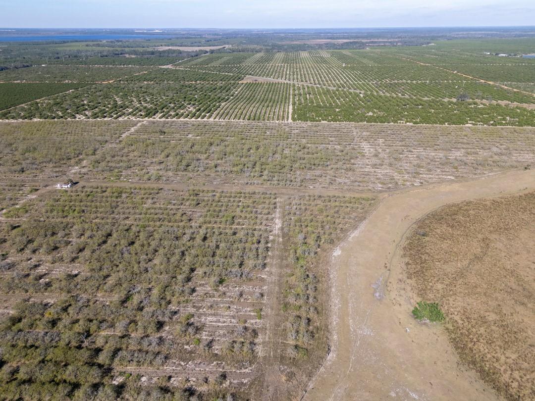 An aerial view shows a large agricultural property with citrus groves and open, cleared land — 3073 CR 627, FL 33825, FL