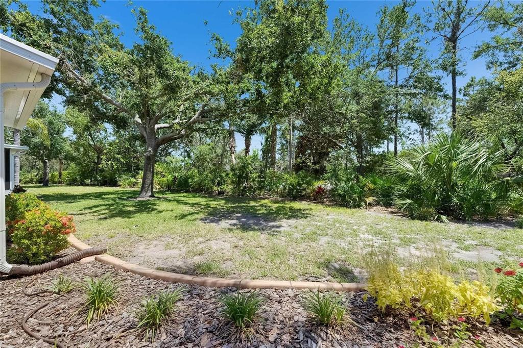 A grassy backyard features mature trees, palm plants, and a landscaped garden bed with mulch — 2068 SIFIELD GREENS WAY, SUN CITY CENTER, FL
