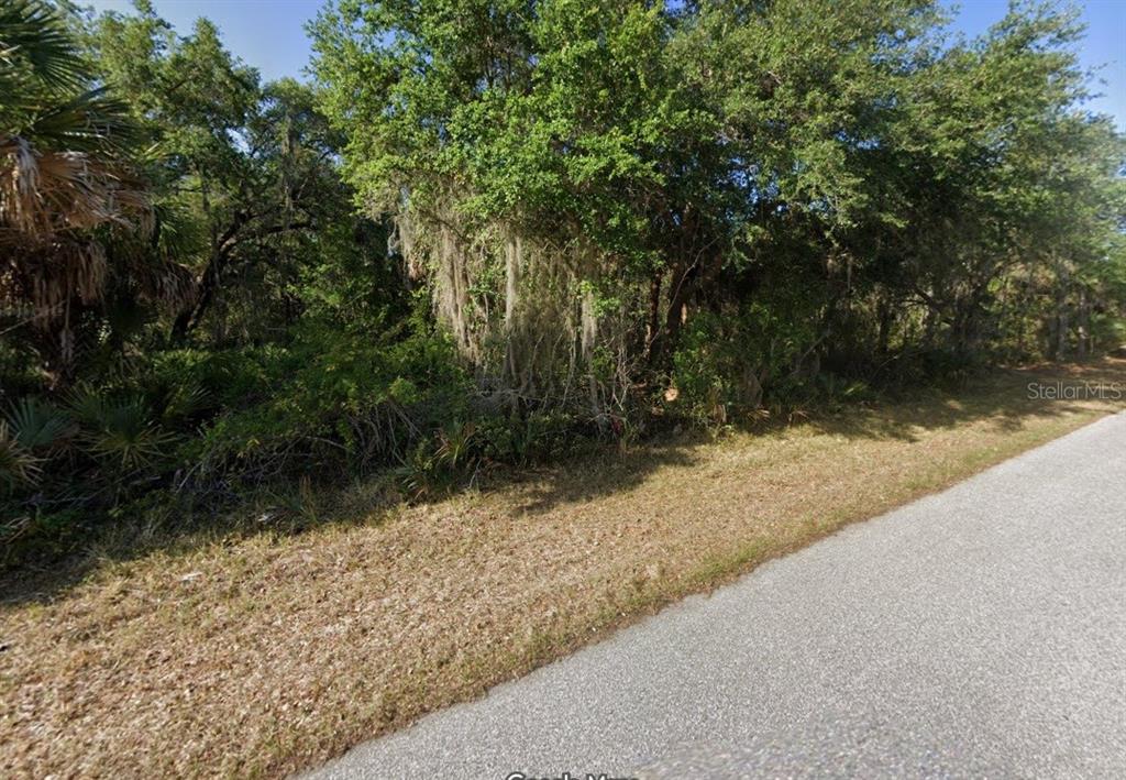 A paved road runs alongside a wooded lot with dense trees and vegetation — 18235 PLACID AVENUE, PORT CHARLOTTE, FL