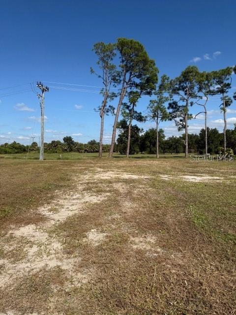 A grassy, undeveloped lot features several tall pine trees under a clear blue sky — 670 ALVARADO, NORTH PORT, FL