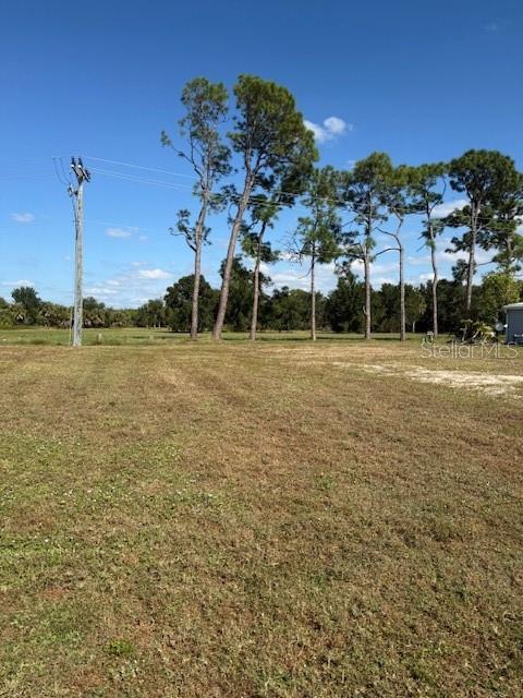 A grassy, vacant lot features a utility pole and a line of tall pine trees — 670 ALVARADO, NORTH PORT, FL