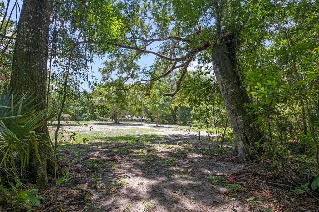 A view of a sandy, partially cleared lot surrounded by mature trees and dense foliage — 15527 TROUSDALE STREET, CLERMONT, FL