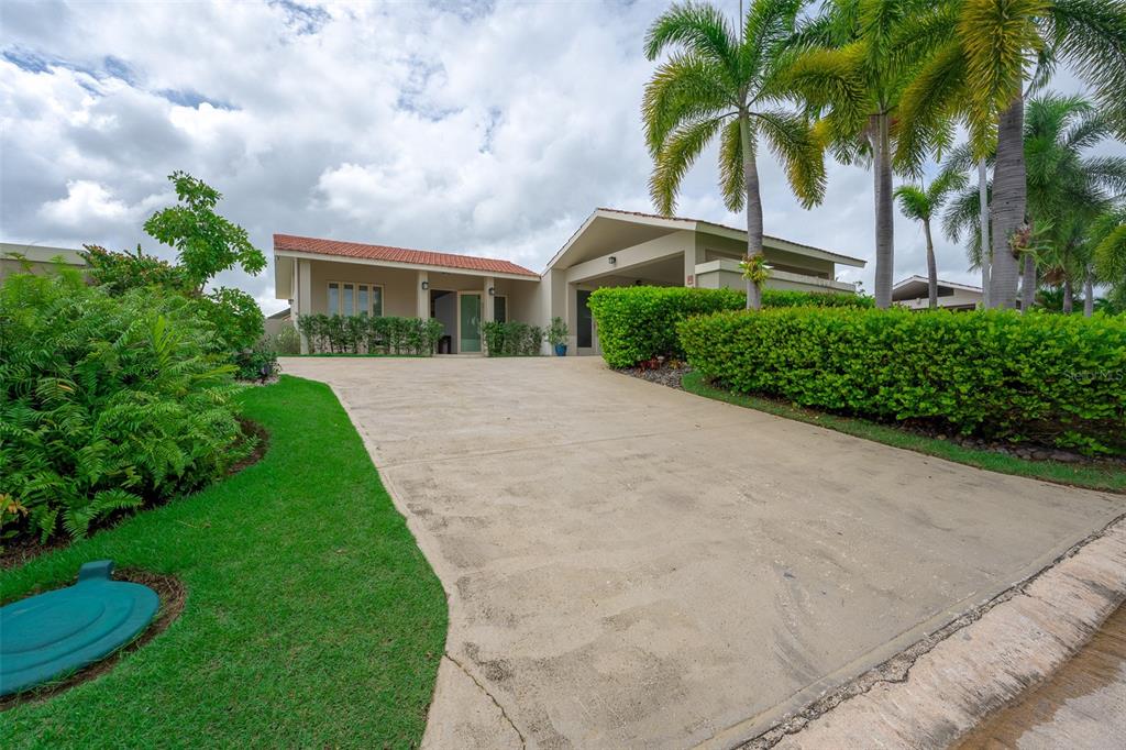 A concrete driveway leads to the entrance of a single-story house with palm trees — 291 SABANERA DE DORADO, DORADO, PR