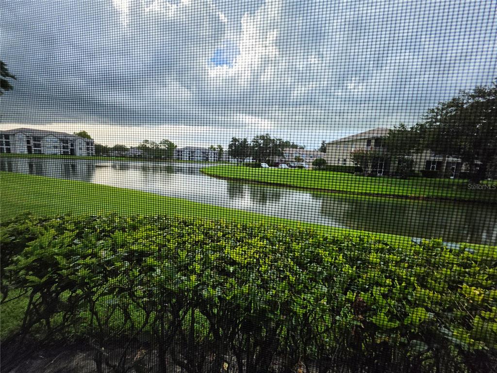 A view of a pond and apartment buildings seen through a screened-in patio — 18427 AINTREE COURT, TAMPA, FL