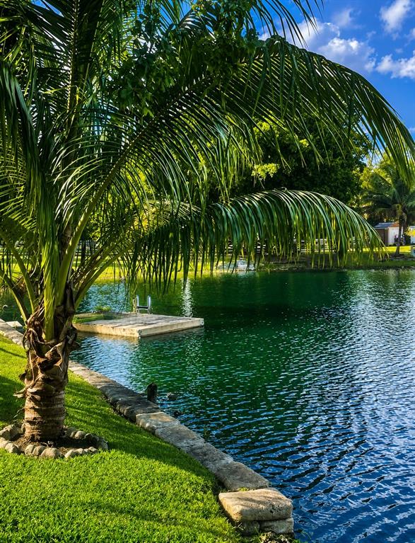 A palm tree stands beside a stone-edged pond with a small wooden dock — 7551 SW 42ND PLACE, DAVIE, FL