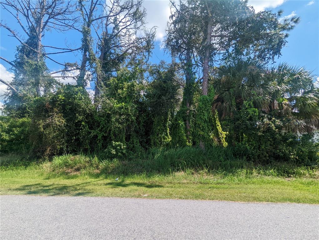 A vacant, wooded lot with tall trees and dense vegetation sits beside a paved road — 13441 DRYSDALE AVENUE, PORT CHARLOTTE, FL